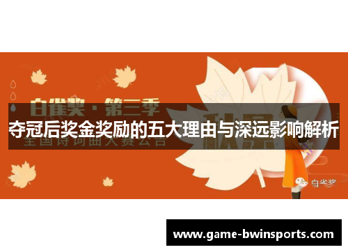 夺冠后奖金奖励的五大理由与深远影响解析