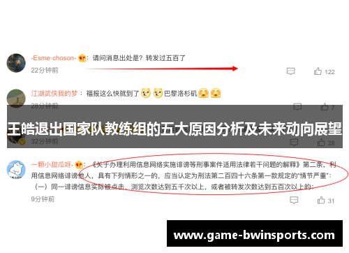 王皓退出国家队教练组的五大原因分析及未来动向展望